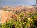 Bryce Canyon National Park
